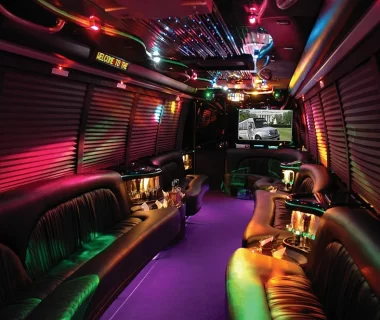 Party Limo Bus Experience